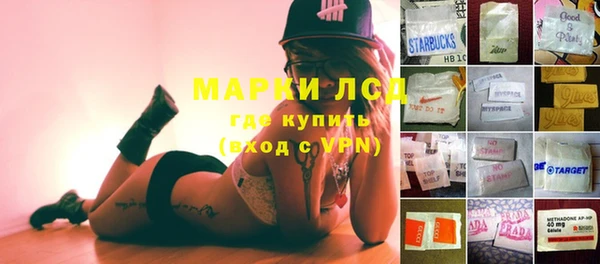 ПСИЛОЦИБИНОВЫЕ ГРИБЫ Михайлов