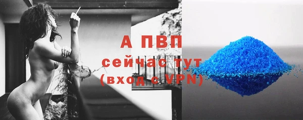 эйфоретик Аша