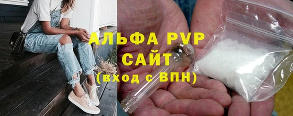 ПСИЛОЦИБИНОВЫЕ ГРИБЫ Михайлов